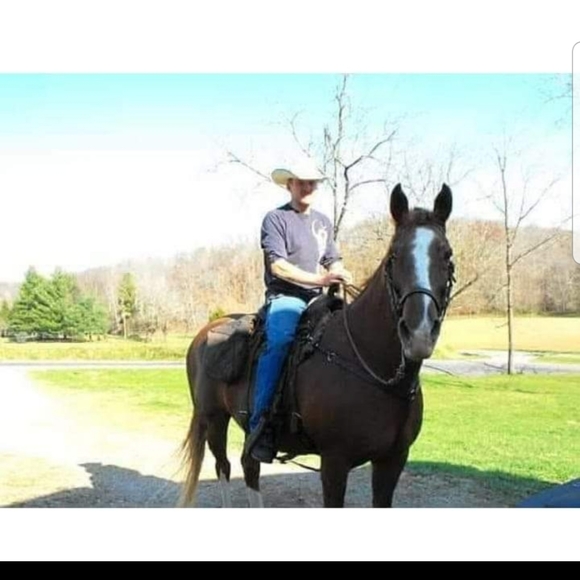 Meet your Posher, Chet - Picture 8 of 8